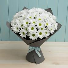 Букет цветов из:  Хризантемы #REPLACE_PRED# Острове