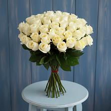 Букет 51 Белая роза Эдлесс Лав #REPLACE_PRED# Острове