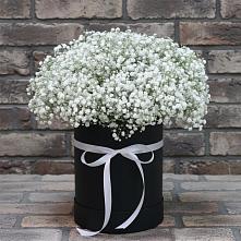 Цветочная композиция из Гипсофила в шляпной коробке #REPLACE_PRED# Острове