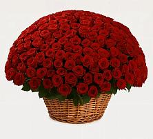 Премиум букет из: Розы в Острове